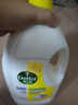 滴露（Dettol）衣物除菌液 消毒液 柠檬3L 99.9%杀菌除螨内衣儿童衣物可配洗衣液 实拍图