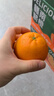 京觅 赣南脐橙 净重9斤单果200g+新鲜水果生鲜甜橙子应季源头直发 实拍图