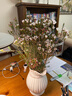 【澳洲腊梅】年宵花鲜切花家用水养插花云南直发鲜花束花期长真花 白色腊梅1扎（约200g） 实拍图