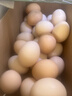 京鲜生可生食标准鲜鸡蛋30枚礼盒装3斤 源头直发 实拍图