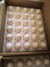 均鲜新鲜土鸽子蛋杂粮喂养农家特产白鸽蛋信鸽蛋孕妇宝宝年货节礼盒装 60枚1500g左右精选大个种鸽蛋 实拍图