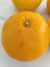 京鲜生 爆汁黄金葡萄柚 净重5斤 单果300g起 生鲜年货水果    实拍图