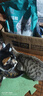 力狼猫粮 成猫幼猫通用型天然粮 【基础护胃-复购】经典猫粮10kg 实拍图