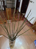 花翁水培鲜枝鲜花干枝花卉植物盆栽 红梅鲜枝【70-80cm20枝】源头直发 实拍图