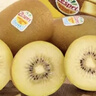 佳沛（zespri）意大利 阳光金奇异果12粒年货礼盒特大果单果约122-146g 猕猴桃 实拍图