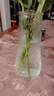 特大号玻璃花瓶桌面插花水养鲜花富贵竹高花瓶ins风客厅装饰摆件 【21高透明】大号锥桶水波纹 实拍图