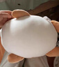 名创优品（MINISO）趣味阿柴趴姿毛绒公仔玩偶抱枕玩具靠枕娃娃送礼儿童生日礼物女 实拍图