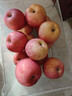 京鲜生 陕西洛川红富士苹果 净重8斤 单果200g 生鲜水果 实拍图