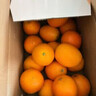 农夫山泉 17.5° 橙 净重10斤 铂金果 生鲜水果赣南地区脐橙橙子年货礼盒 实拍图