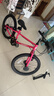 途锐达京东自营超轻铝合金自行车儿童6-12岁女孩单车元旦礼物蜂鸟20寸粉 实拍图
