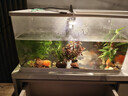 阔庭（KUOTING）鱼缸懒人鱼缸家用客厅办公室金鱼缸过滤鱼缸白色款【大号】 实拍图