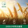 碧欧奇 原味碎面175g+线面175g 宝宝面条儿童早餐挂面辅食无添加食盐面 实拍图