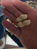 沙土吊炉花生多种口味带壳小珍珠吊炉烤花生果山东休闲零食家庭实惠装 5斤蒜香味小珍珠花生 实拍图