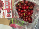 京鲜生 智利车厘子2J级10斤礼盒装 果径约28-30mm 水果年货礼盒 实拍图
