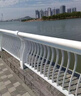 世腾不锈钢防撞桥梁护栏河道公园景区安全防护围栏河边人行道隔离栏杆 款式1 实拍图