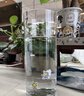 吕姆克玻璃花瓶水养插花瓶水培富贵竹客厅花瓶摆件透明直筒款25cm5517 实拍图