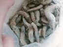 东上御品虾 青岛大虾基围虾鲜活青虾白虾海虾对虾冰虾冻虾生鲜 虾类 海鲜 3斤(净重)  气冻大虾【活虾速冻】 11-12cm【单只无冰衣】 实拍图