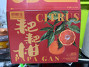 京鲜生 四川春见耙耙柑 净重5斤 单果220g起 生鲜水果柑橘桔子年货礼盒 实拍图