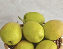 京鲜生 新疆库尔勒香梨 净重5斤 一级 单果100g-120g  生鲜水果 实拍图