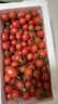 千禧圣女果新鲜小番茄樱桃小柿子孕妇水果现摘现发新鲜蔬菜 新鲜圣女果 3斤 带箱 实拍图