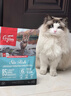 Orijen渴望猫粮 成猫幼猫粮 六种鱼肉无谷全价通用进口1.8kg效期26/11 实拍图