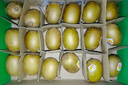 佳沛（zespri）意大利 阳光金奇异果12粒年货礼盒特大果单果约122-146g 猕猴桃 实拍图
