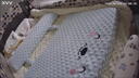 XIAO VV智能婴儿监护器监控摄像头宝宝看护器睡觉儿童监视哭声摄像头小孩床看娃家用神器 实拍图