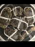 【活蟹】蟹爵大闸蟹鲜活螃蟹 现货生鲜河蟹实物水产海鲜中秋礼盒 全母2.5-2.8两8只 实拍图