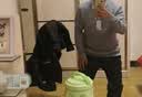 HLA海澜之家针织衫男轻商务提花假两件双领毛衣冬季男 实拍图