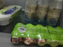 蒙牛（MENGNIU）周震南推荐全程冷链 优益C乳酸菌饮品 0蔗糖原味 330g*12瓶 实拍图