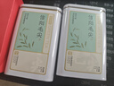 京东京造 信阳毛尖绿茶250g明前春茶叶板栗香嫩芽礼盒送礼袋 自营 实拍图