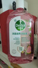 滴露（Dettol）香氛自然衣物消毒液48H留香洗衣除臭儿童可用消毒水杀菌除螨1L*2 实拍图