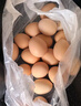 京喜加 谷物喂养初产新鲜鸡蛋40g正负5g生鲜超市买菜早餐土鸡蛋草鸡蛋 10枚 实拍图