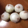 新鲜黄洋葱黄金水果洋葱即食蔬菜调料烧烤食材 新鲜黄洋葱 2斤 含箱 实拍图