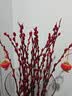 银柳真花鲜枝干花摆件室内水培绿植物新年节日招财年宵花卉盆栽 精选红色银柳60CM高【20支】+2个小灯笼 实拍图