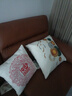万燊现代轻奢风样板间沙发客厅抱枕套高档棉麻靠垫北欧风格靠枕头含芯 H款 50X50cm(枕套加枕芯） 实拍图