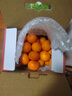京鲜生 赣南脐橙 净重10斤装 钻石果 单果230g起 生鲜橙子水果年货礼盒 实拍图