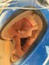 AD新国标3C认证儿童电动车头盔6-12岁男孩女孩电瓶车安全帽3-6岁小孩子宝宝冬季保暖围脖全盔501蓝色 实拍图