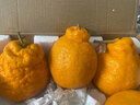 生活＆好管家 四川春见耙耙柑爆浆大果新鲜水果礼盒应季橘子现摘柑橘子桔子 8.5-9斤【性价比高-全家爽吃】净重8斤 果径70-75mm【中果】 实拍图