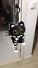 黑猫玩偶毛绒公仔挂件ins可爱猫咪包包挂饰情侣礼物送女朋友礼物 黑白围巾+黑猫【升级双扣挂绳】 会吱吱叫【10厘米左右】 实拍图