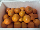 京鲜生 正宗广西砂糖桔4.5斤装 单果35mm+ 花皮 水果年货 源头直发包邮 实拍图