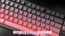 前行者【立省15%】X87Pro/Ultra无线机械键盘有线蓝牙三模gas客制化游戏电竞磁轴办公专用侧刻电脑笔记本 黑莓粉侧刻Ultra-凯华金蛇轴-1.2万mA 实拍图