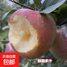 苹果红富士徐州丰县大沙河苹果10斤新鲜水果冰糖心丑苹果脆甜正宗 10斤红富士丑苹果精品 实拍图