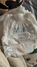 babycare艺术大师拉拉裤XXL码26片(大于15kg) 婴儿尿不湿瞬吸干爽透气 实拍图