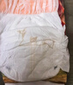 碧芭宝贝大鱼海棠拉拉裤L32片(9-14kg)裤型尿不湿 干爽透气 秋冬不闷 实拍图