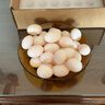 均鲜新鲜土鸽子蛋杂粮喂养农家特产白鸽蛋信鸽蛋孕妇宝宝年货节礼盒装 30枚610g左右精选鲜鸽蛋 实拍图