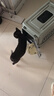 腆宠宠物航空箱小号 猫咪航空箱猫狗 猫包猫笼外出车载猫箱狗狗托运 实拍图