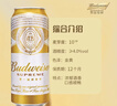 百威金尊啤酒500ml*18听整箱装 单一麦芽原麦京东自营新年送礼喜酒 实拍图