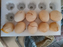京鲜生 无抗保洁鲜鸡蛋30枚/盒 健康轻食 礼盒送礼 1.5kg/盒 源头直发 实拍图
