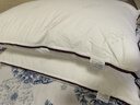 水星家纺枕头枕芯酒店枕头护颈枕头芯家用一对纯棉抗菌可水洗高枕48x74cm 实拍图